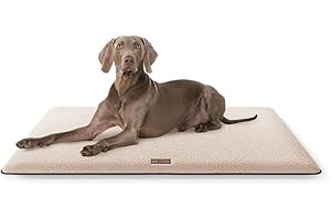 Knuffelwuff Przytulna mata dla psa Calliope wykonana z materiału pluszowego, 120 x 80 cm, beżowa, poduszka dla dużych, średnich i małych psów, do domu, samochodu, kampera, przyczepy kempingowej