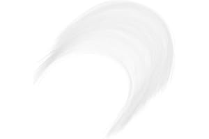 NUOBESTY Simulierte Katzen-Schnurrhaare FüR DIY Bastelarbeiten Plüschstoff Katzenschnurrhaare Nylon Tier-Schnurrhaare Ideal FüR Puppen Kunsthandwerk Und KreativitäT 12Cm