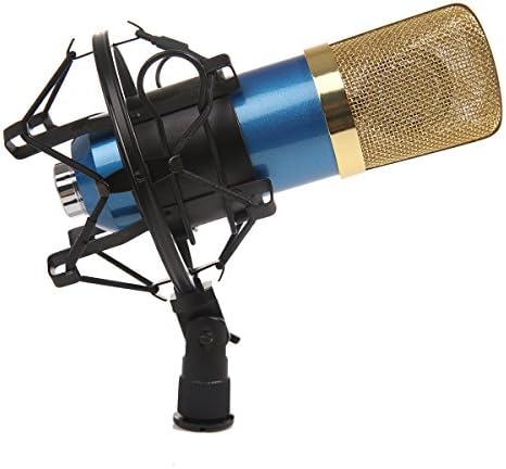 Dolotu BM Series Dynamic Condenser Microphone Sound Studio Recording Mic+ Shock Mount + Microphone Windshield- Professional Studio Broadcasting &amp; Recording Microphone SetEnjoying Singing Speaking High Party (BM700, Blue)