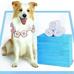 FIRMUS Extra-Large Dog Pee Pads and Puppy Training Pads 28?x34?-40 Count - Super Absorbent & Heavy Duty XLarge Potty Pads for Dogs and Pet Pads