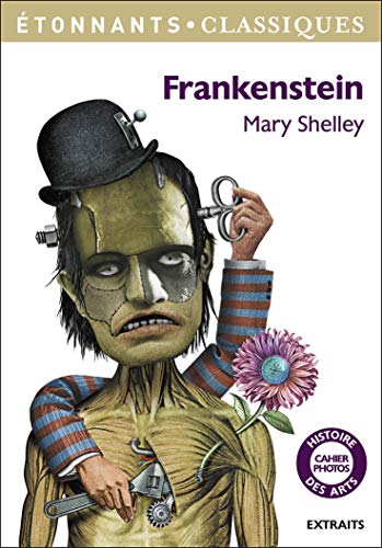 Frankenstein (GF Etonnants classiques)