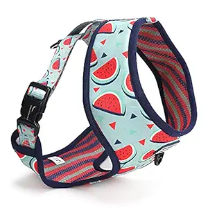 Heads Up For Tails Summer Love Reversible Harness for Dogs - 2XL: 27.5-39.7
