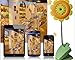 BW® New Baby monitor Wireless WiFi Security Baby Monitor Sunflower Camera Smartphone Audio Night Vision For IPhone, iPad, iPod, Android Phones & Tablets, Home Use ,Baby Care for Parents