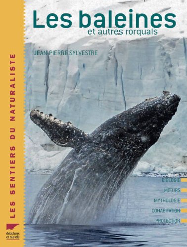 couverture de : Les baleines et autres rorquals