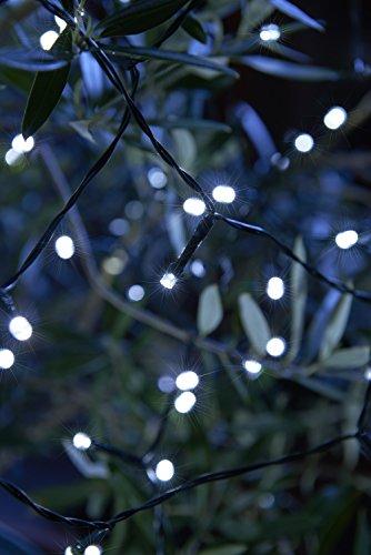 Preisvergleich Produktbild Auraglow Lichterkette, für den Außenbereich, LED-Lichterkette, Kaltweiß, 100 LEDs