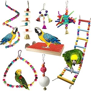 Juguetes para Pájaros, PietyPet 8 Piezas Perchas Pájaros Juguetes con Campanas, Escalera de madera, Columpios, Hamaca de Madera, Que cuelga la Perca Juguete para pequeños y medianos loros de aves