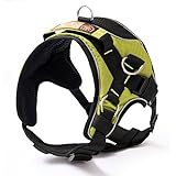 Hundegeschirr Gepolstert Professionell Outdoor Activity Atmungsaktiv Hunde Geschirr für Mittlere Große Hunde von Treat Me