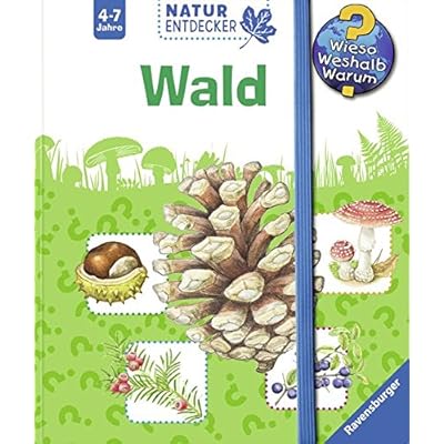 Wald (Wieso? Weshalb? Warum? Natur-Entdecker)