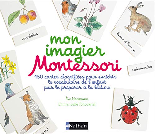 Télécharger Mon coffret imagier Montessori - Dès 3 ans PDF