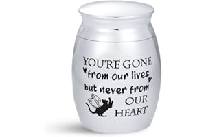 SBI Jewelry Cat Small Urn for Ashes Kitty Kitten Pets Angel Wing Paw Cremation Memorial Keepsake Holder Friend and Companion Gift Funeral