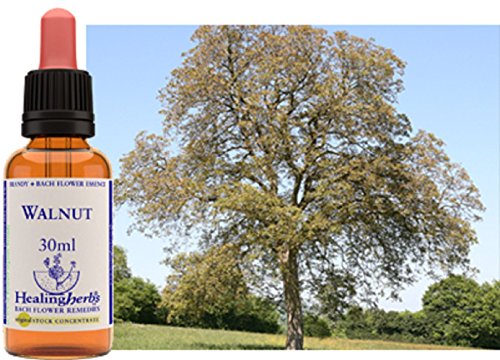 Healing Herbs - Bach Flower Walnut 30ml