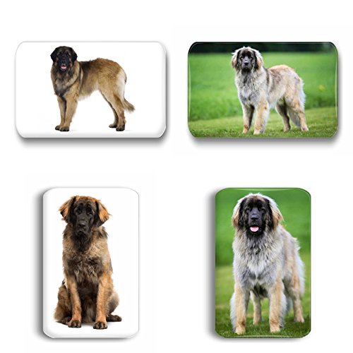Leonberger - 4 rechteckige Kühlschrankmagnete 6 x 4 cm -- 01 für Memoboard Pinnwand Magnettafel Whiteboard
