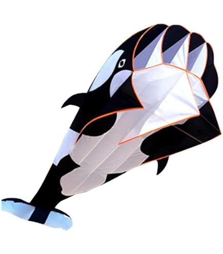 Dellyy – Cerf-volant Licorne Pour Enfants – Grand Cerf-volant De Plage – Dragon Volant – Cadeau Fille