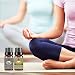Lagunamoon Essential Oils Top 6 Gift Set - Lavender,Tea Tree,Peppermint,Rosemary,Lemon,Frankincense - Therapeutic Essential Oil 10ml each bottle, 6 Pack