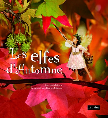 couverture de : Les elfes d'automne