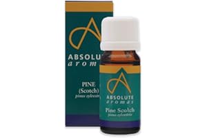Absolute Aromas Pine Essential Oil 10ml - 100% Pure, Natural, Undiluted, Vegan and Cruelty-Free - for use in Diffusers and Aromatherapy Blends