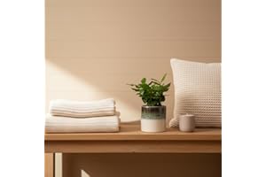 HAPPY PLANTING UK Coffee Plant Houseplant in Ocean Ceramic Pot - Indoor Potted Plant by Luxe Leaf Plants - Pot Included