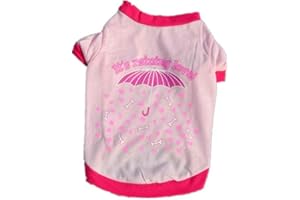 SAMGU Petit Chien Chat Vêtements Gilet T-Shirt Costumes Puppy Sweatshirt