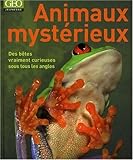 Animaux mystérieux. Des bêtes vraiment curieuses sous tous les angles.