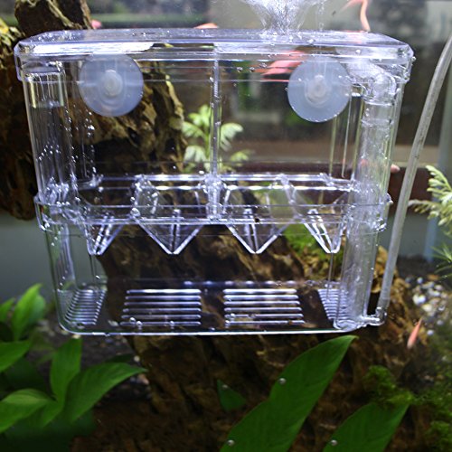 Caja transparente y flotante para acuario. Ideal para alimentar peces o como criadero