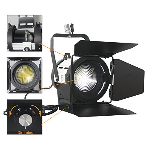 Day Light 5500K Dimming Pro 20W/50W/80W/100W/200W LED Spotlight+Barndoor+Filter For Film Camera Video Photography Continuous Light (LED-50W)