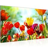 UNSCHLAGBARERER PREIS: beste Preise, schneller Versand vom deutschen Hersteller direkt an Ihre Haustür!