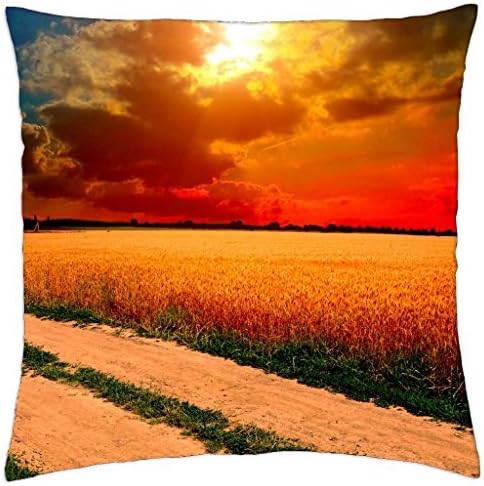 PATH WAY to COLORFUL HORIZON - Throw Pillow Cover Case (16" x 16")