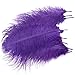 Produktbild 10 x 10"-12" Strauß Feder Straußenfeder Kostüm Deko Violett Lila 25-30cm