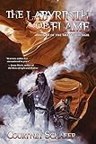 Image de The Labyrinth of Flame (The Shattered Sigil Book 3) (English Edition)