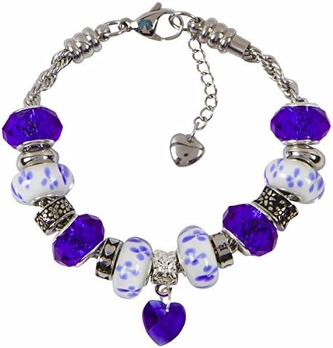 Timeline Treasures Heart Charm Bracelet With European Bead Charms For Women and Girls, Stainless Steel Rope Chain, Power 19cm