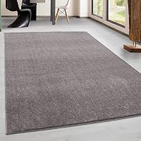 Suchergebnis Auf Amazon De Fur Teppich 170x240 Kuche Haushalt