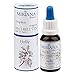 Produktbild MirianaFlowers Holly 20ml Bachblüten Stockbottle