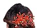 Bluelans® Women's Bridal Wedding Red Flower Diamante Crystal Rhinestones Pearls Hair Clip
