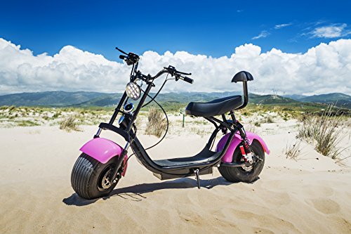 Citycoco Scooter Moto Eléctrica Harley 1000W Bluetooth Biplaza 25-35km/h (Naranja)