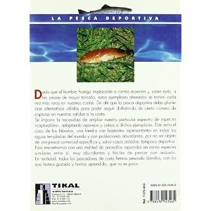 Cómo iniciarse en la pesca costera