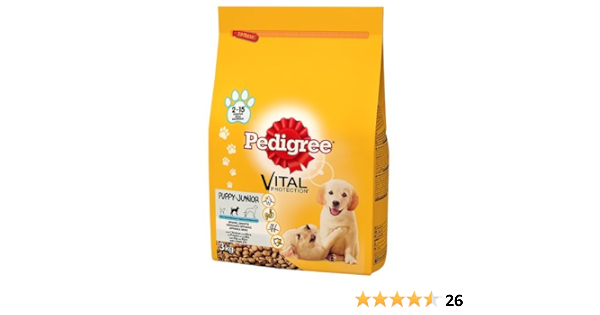 transparent bag for cat