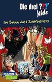 Die drei ??? Kids 24: Im Bann des Zauberers (24) by