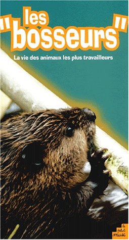 couverture de : Les bosseurs