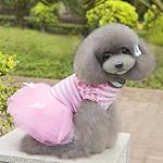MagiDeal-Abito-Cane-Elegante-Arco-Sveglio-Della-Banda-Del-Vestito-Principessa-Gonna-Di-Pizzo-Abbigliamento-per-Animali-Cucciolo-Gatto