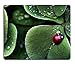 Produktbild Ladybug Sitting Clover Green Three Leaf Insect Water Dew Mouse Pads Customized Made to Order Support Ready 9.8 X 11.8 Eco Friendly Cloth with Neoprene Rubber Liil Mouse Pad