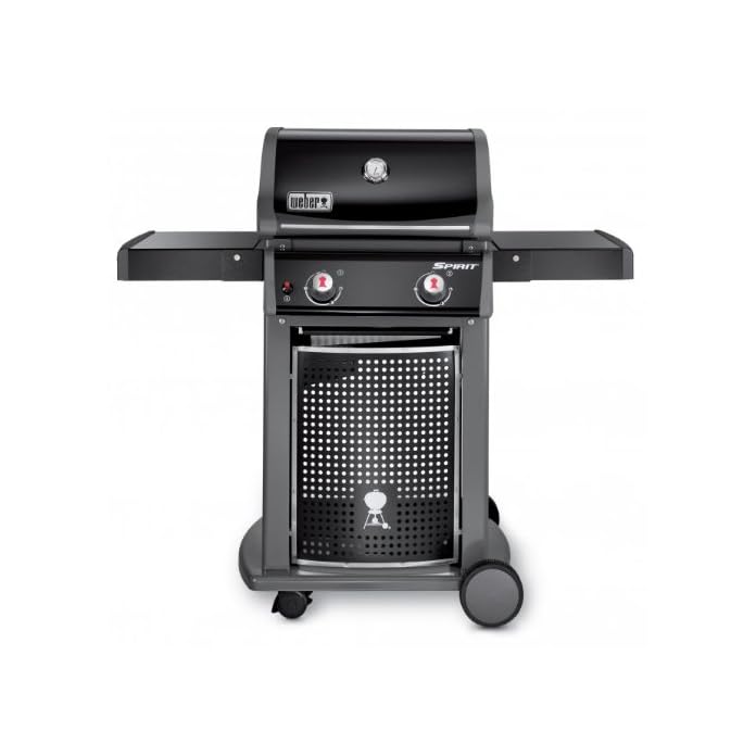 Spirit E 210 Classic Grill