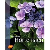 Hortensien