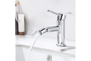 ONECE Grifo de Lavabo y Bidé, Mezclador Monomando con Rociador de Caño Giratorio, Grifería para Baño, Aireador Extraíble, Agua Fría y Caliente, Acero Inoxidable 304, Cromo