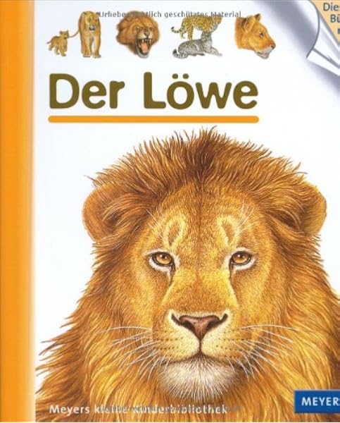 Der Lowe Amazon De Bucher