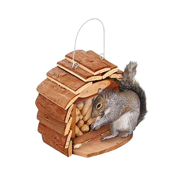 BAKAJI Mangiatoria Casetta Nido per Scoiattoli da Giardino in Legno con Gancio per Muro o Albero Dimensione 16 x 25 x 16…