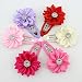 Baby Beauty Hair Bows Clips Pins Toddler Infants Kids Girls Boutique Accessories Grosgrain Ribbon headdress (single flowers 4cm-12pcs)