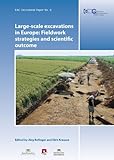 Image de Large-Scale Excavations in Europe: Fieldwork Strategies and Scientific Outcome: Proceedings of the International Conference Esslingen am Neckar, Germa