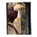 Produktbild Portemonnaie Geldbörse Brieftasche // F00010713 Weißkopfseeadler // Medium Size Wallet