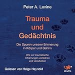 Trauma und Gedächtnis: Die Spuren unserer Erinnerung in Körper und Gehirn