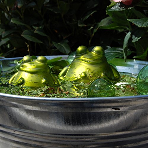 Schwimmfrosch mit Kind - 2